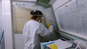 PLACE YOUR BETS! How Long Will This Take Me？ (MJ Sailing - Ep 265)