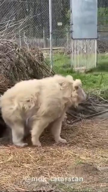 Как себя чувствуешь, выходя на работу после длительных праздников смотреть онлайн