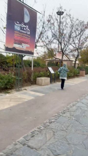 Флаг Ирана смотреть онлайн