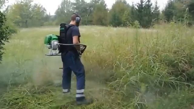 DECESPUGLIATORI ACTIVE 5 5 - 6 5 a zaino смотреть онлайн