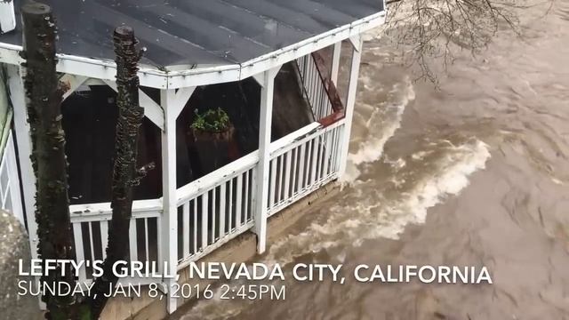 Lefty's Grill - 1/8/2017 смотреть онлайн