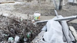Думали, что Зима ушла по-английски - не попрощавшись...Нееет как всегда, по-русски - 10 раз