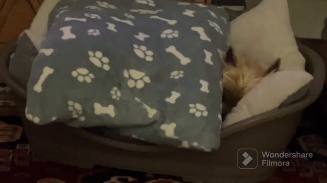 #Filmora -2022-11-26 22:37:58 смотреть онлайн