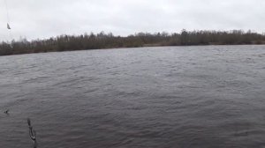 Рыбалка на Луге. Сменил 5-6 мест.