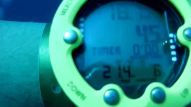 House Reef Brayka Bay Dive, Egypt october 2023 смотреть онлайн