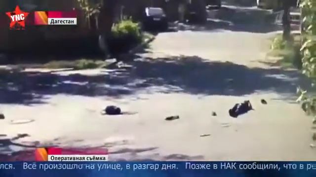 Поймали террористов в Дагестане в Махачкале