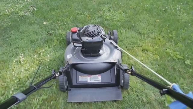 Meet Your New Favorite Lawn Care Service