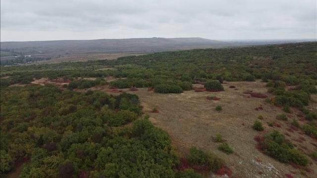 Полет на Dji Mini 2 Топ кадры смотреть онлайн