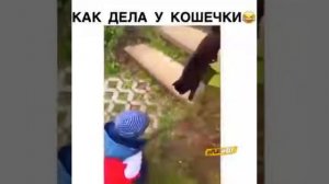 Как дела у кошечки? Она сказала зае*ись...