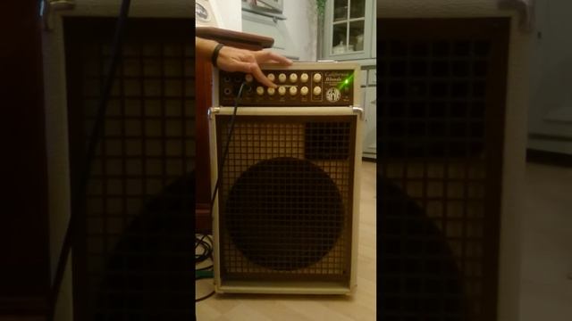 SWR California Blonde for sale смотреть онлайн