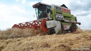 Комбайн CLAAS MEGA 204 | Harvest | Wheat|жнива|пшениця