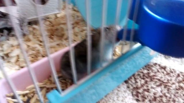 ну, очень хочется пить! смотреть онлайн