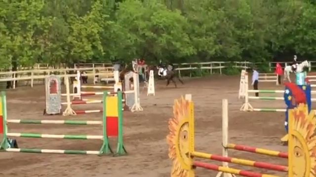 Конкур 100см смотреть онлайн