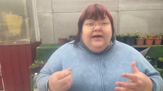 Спасаем растения после заморозков смотреть онлайн