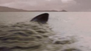 Этот фильм ищут все. Хищник из глубины