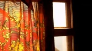 Огромное гнездо шершней на чердаке