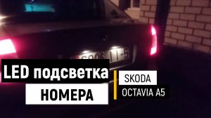 Подсветка номера в Skoda Octavia A5