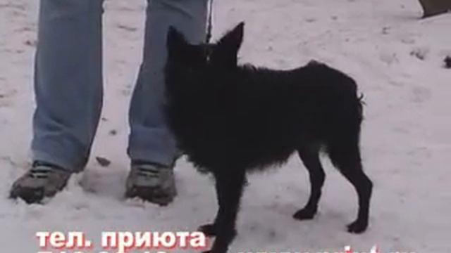 23.11.07 региональное телевидение смотреть онлайн