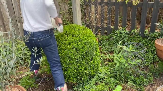 My Favorite Hedge Trimmer! смотреть онлайн