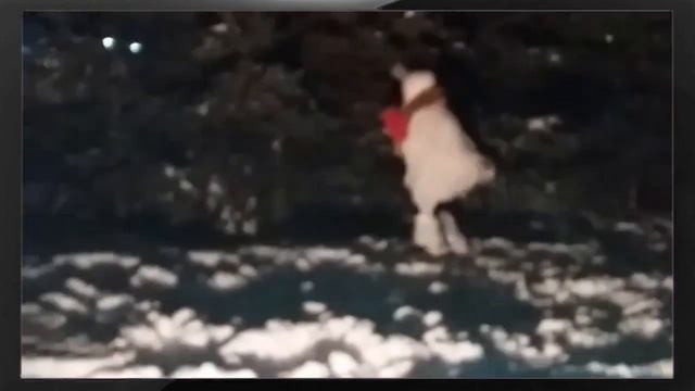 Сказка ( Новогодняя ) смотреть онлайн