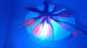 Приманка креветка для рыбалки на горбушу