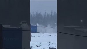 Медведь напал на человека