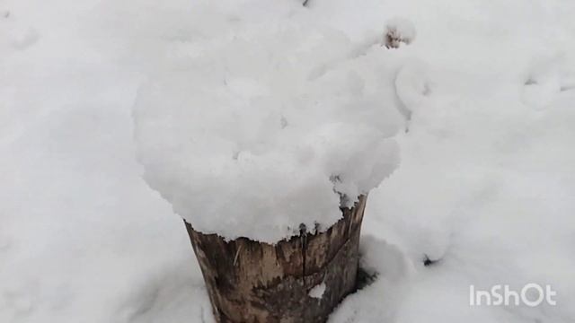 Зима.Снег.Алтайская зима