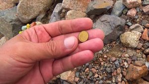 Лежала монета 1 стотинка