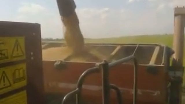 Полесье 1218 смотреть онлайн