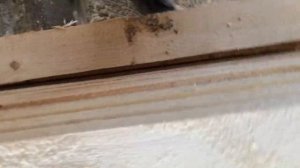 Подрезные ножи необходимо точить ,без вариантов.