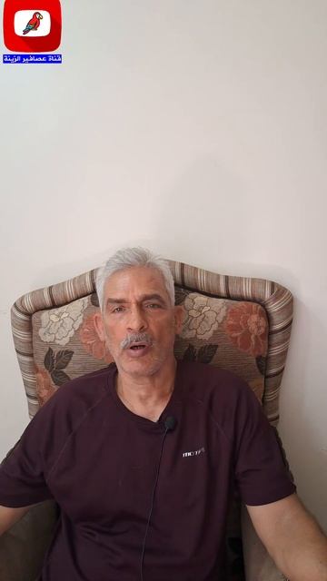 فكرة عن طيور الحب - طيور الروز والفيشر ونظام تغذيتها смотреть онлайн