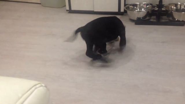 Рей 63 дня смотреть онлайн