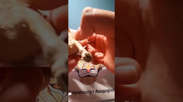 ein neues Paket und den Namen Vanessa das Mädchen смотреть онлайн