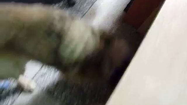 неврология смотреть онлайн