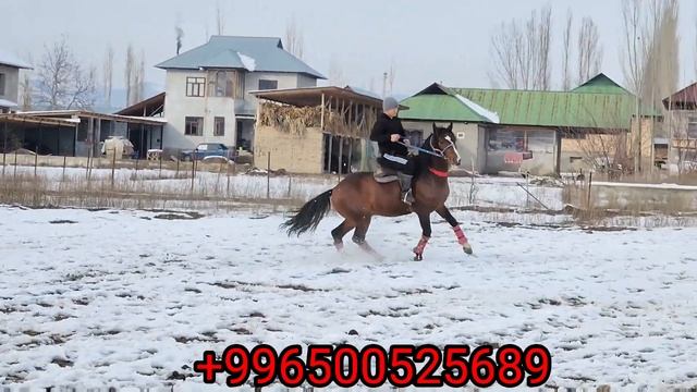 КОСМОС уят кылбайт КОШУНАМА САТСАМ ДАГЫ ЭМИЛ АКЕДЕ АТ