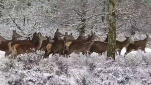 В СЕМЬЮ ВЕРНУЛСЯ СЕРЁЖА. VREDINA LIFE. ОБЗОР.