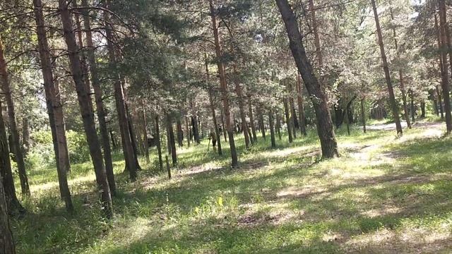 21 Ярославль. Способы запитки энергией.