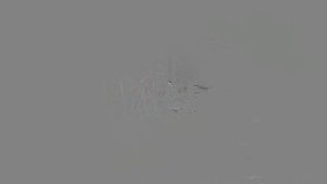 Тарков. 3 в 1