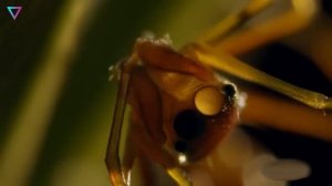 ▽ Планета Земля - уникальное место. Документальный фильм