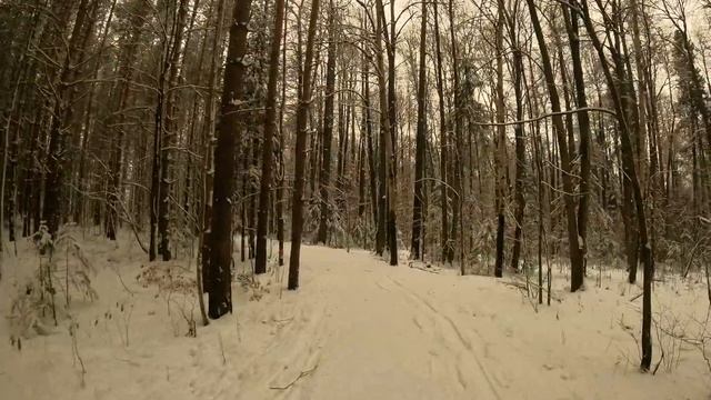 Прогулка по лесу первый снег, скоро открытие лыжного и горнолыжного сезона A walk through the fores смотреть онлайн