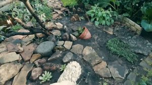 Сад в природном стиле