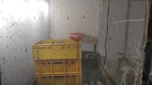 ЧЕРНАЯ ЛЬВИНКА ПРОИЗВОДСТВО