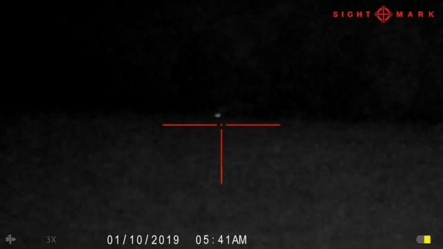 {Top 4} Best Night Vision Scope For Coyote Hunting {2023 UPDATE}