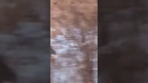 В окрестностях Краснотуранска