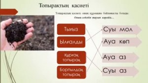 Жаратылыстану. Топырақтың қандай қасиеті бар? Сейткалиева Светлана Несипбеккызы
