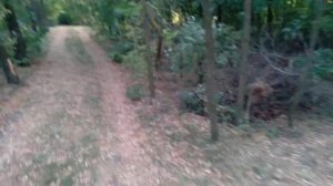 Перевозка пчел в три яруса. Одно из самых трудоемких мероприятий на пасеке...