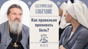 Страдания неизбежны! Сестрическое собрание с о. Андреем Лемешонком 02.02.2025