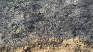 Дискование земли (дисковка почвы) трактором