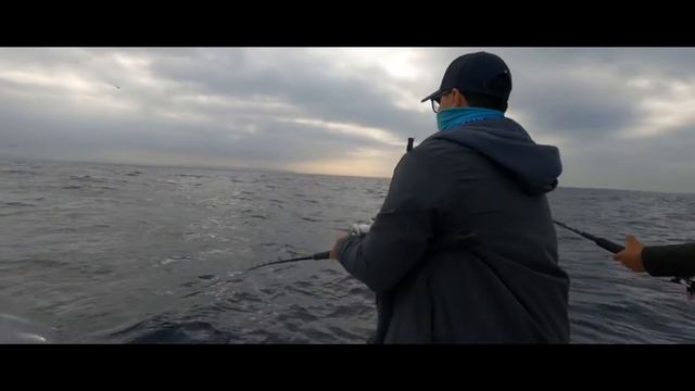 La Jolla Rock fishing 12122020
