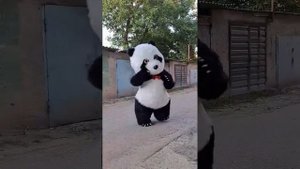 Вай мама кто это!